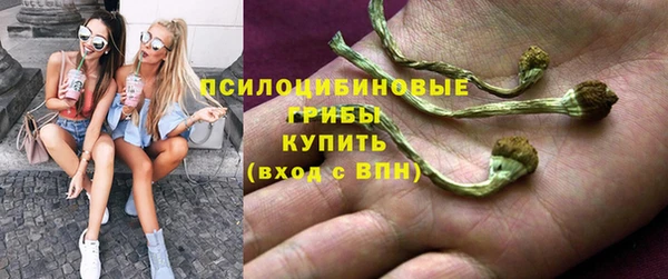 соль курить ск Алзамай