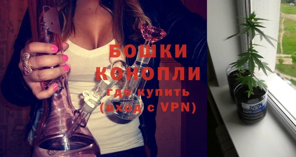 PSILOCYBIN Абаза