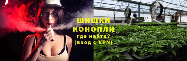 ГАЛЛЮЦИНОГЕННЫЕ ГРИБЫ Алексеевка