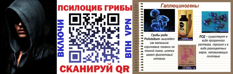 купить наркотики цена  Уржум  мега зеркало  Псилоцибиновые грибы мицелий 